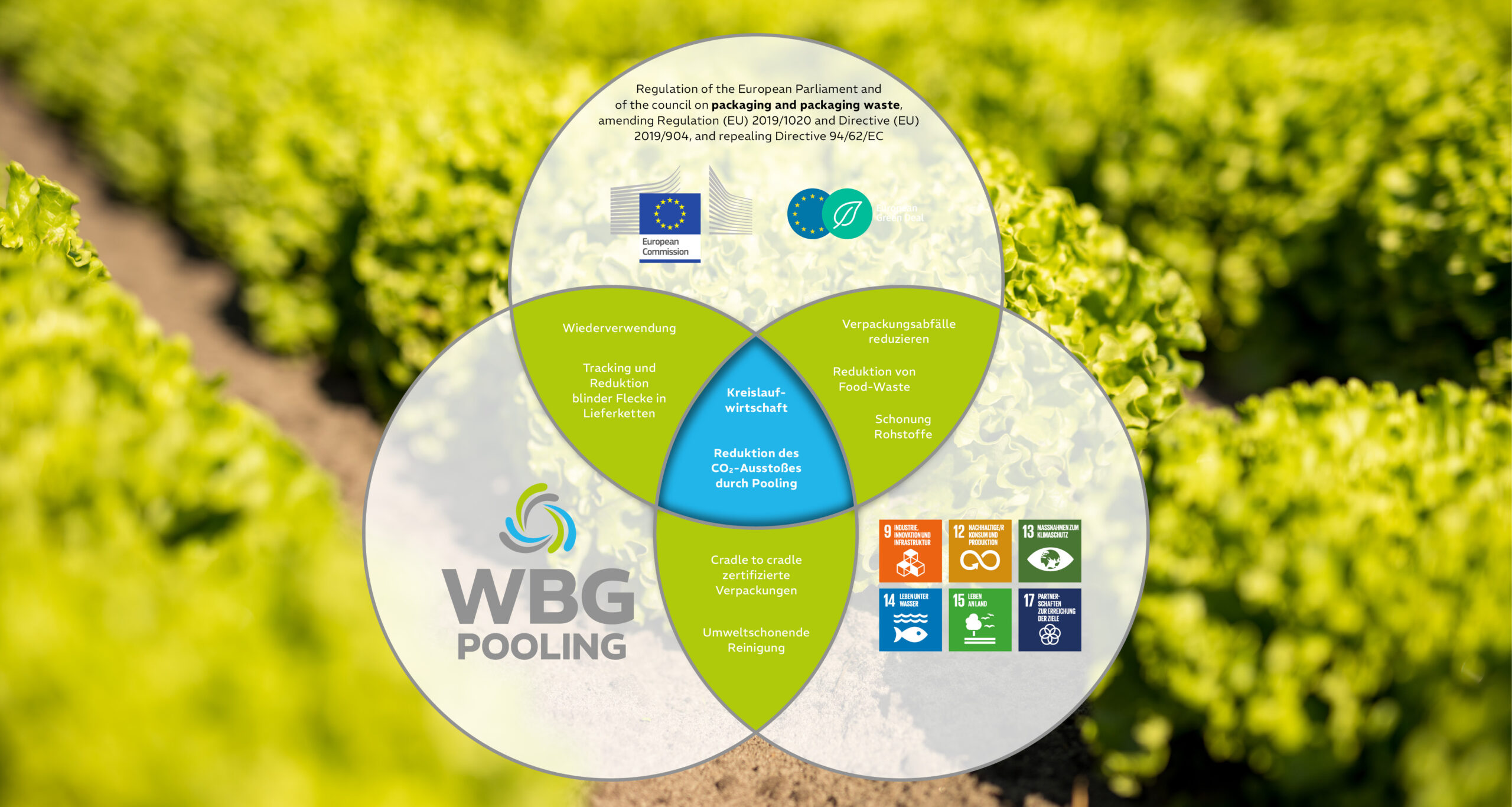 WBG Pooling und die Packaging & Packaging Waste Regulation: Wie der ...